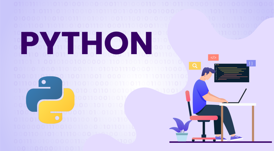 Python IT language