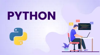 Python IT language